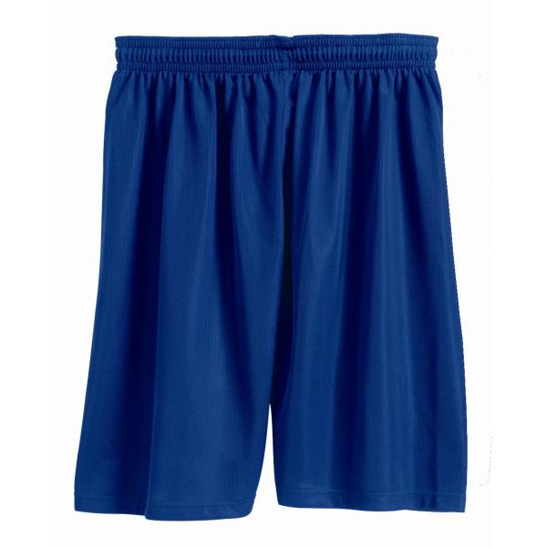 Mini Mesh 7'' Inseam Shorts