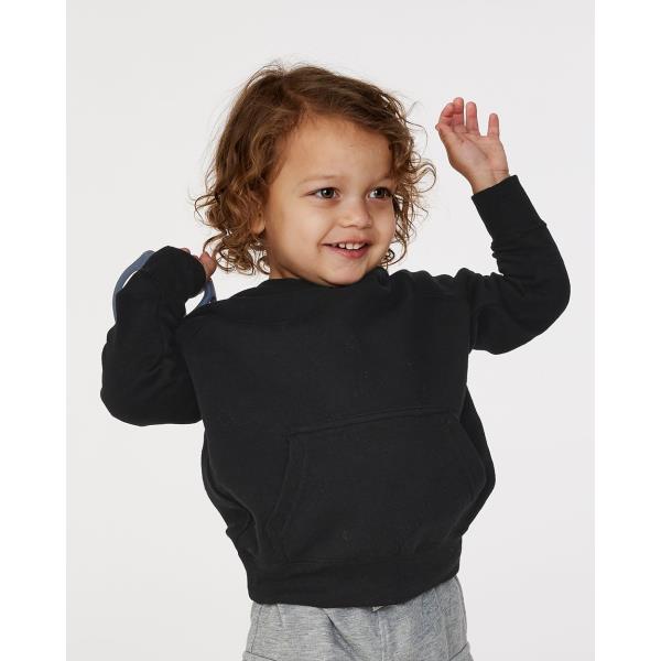 Toddler Special Blend Raglan Hooded Sweatshirt